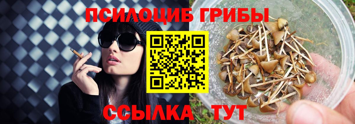 Галлюциногенные грибы мухоморы  Галлюциногенные грибы мухоморы  Вход с VPN  Дербент 