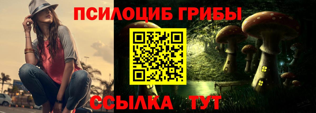 Галлюциногенные грибы мицелий Дербент
